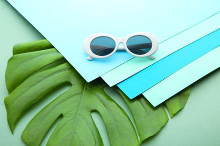 Stylish sunglasses with papers and tropical leaf on color background