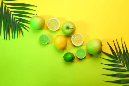 Tasty fruits and tropical leaves on color backgroundの写真素材