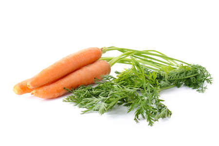 Tasty fresh carrot on white backgroundの写真素材