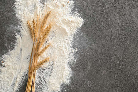 Wheat flour with spikelets on gray backgroundの写真素材