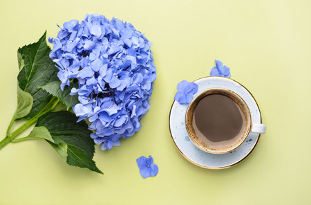 Cup of coffee and beautiful hydrangea flowers on color backgroundの写真素材