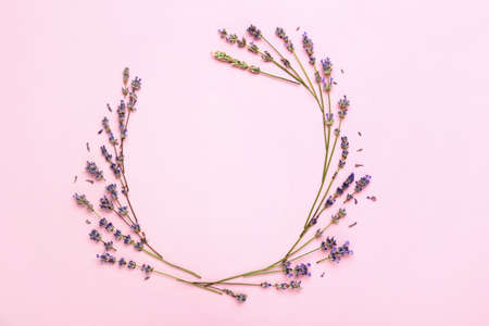 Beautiful lavender flowers on color backgroundの写真素材