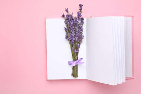 Beautiful lavender flowers with book on color backgroundの写真素材