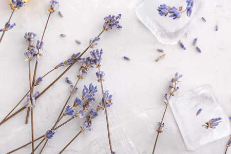 Lavender flowers with ice cubes on gray backgroundの写真素材