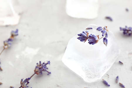 Lavender flowers with ice cube on gray backgroundの写真素材