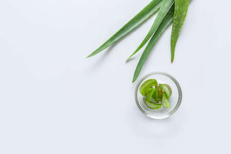 Fresh aloe leaves with bowl on white background