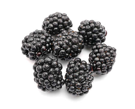 Ripe blackberry on white background