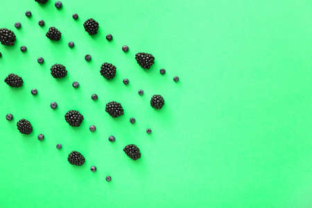 Ripe blackberry and bilberry on color backgroundの写真素材