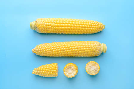 Fresh corn cobs on color background