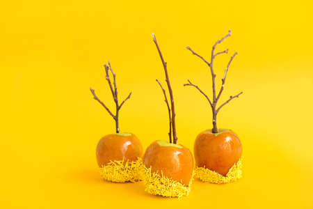 Tasty candy apples on color background