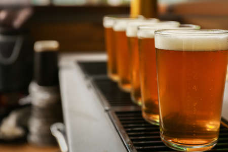 Glasses of fresh draft beer on bar counterの写真素材