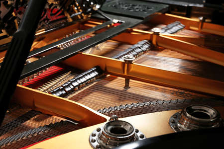 Inside view of grand piano, closeup