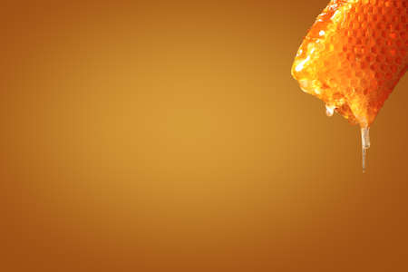 Honeycomb on color backgroundの写真素材