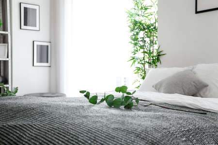 Green eucalyptus branches on bedの写真素材