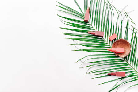 Set of lipsticks with palm leaf on white backgroundの写真素材