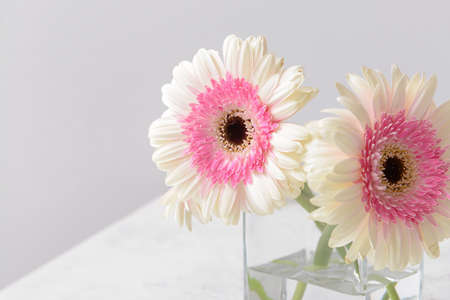 Vase with beautiful gerbera flowers on table