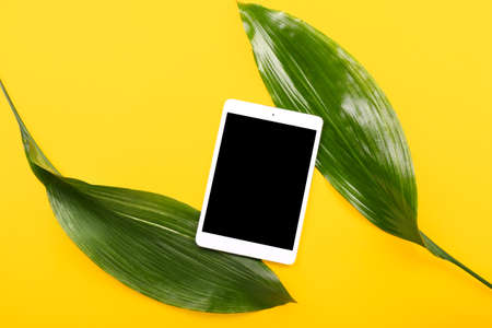 Modern tablet computer with tropical leaves on color background