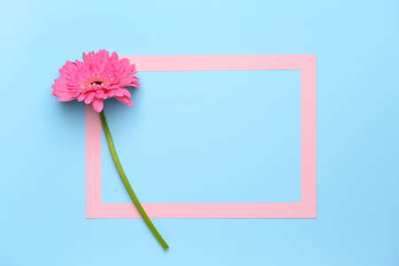 Paper frame and beautiful gerbera flower on color background