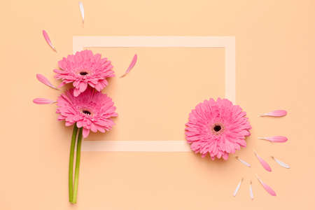 Paper frame and beautiful gerbera flowers on color backgroundの写真素材