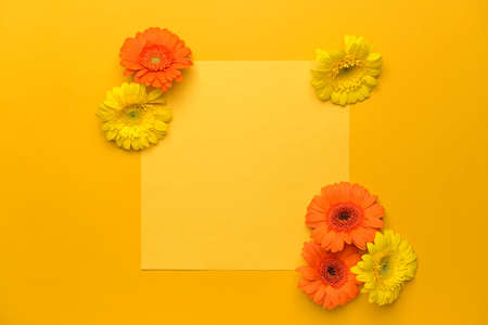Blank card and beautiful gerbera flowers on color backgroundの写真素材