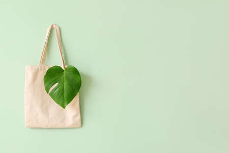Eco bag with tropical leaf on color backgroundの写真素材
