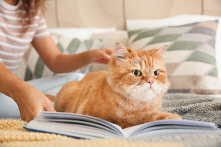 Young African-American woman with cute cat reading book at homeの写真素材