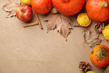 Autumn composition with fresh pumpkins on color backgroundの写真素材