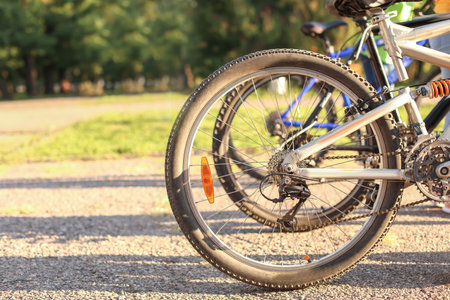 Cute children riding bicycles outdoors