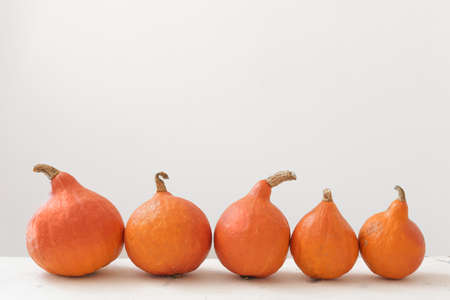 Fresh pumpkins on white background