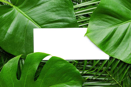 Empty card with green tropical leaves