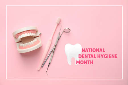 Model of jaw with toothbrush and dentist's tools on color background. National Dental Hygiene Month