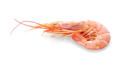 Tasty shrimp on white backgroundの写真素材
