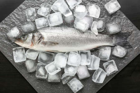 Fresh seabass fish and ice cubes on slate plate