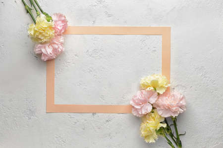 Greeting card with beautiful carnation flowers on white background