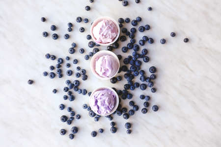 Bowls with tasty blueberry ice cream on light backgroundの写真素材