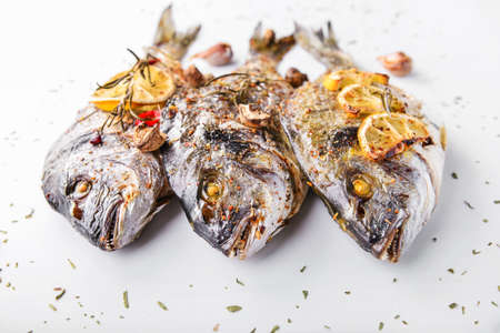 Prepared dorado fish on white background