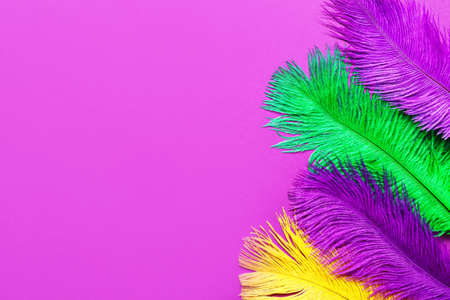 Colorful feathers on color backgroundの写真素材