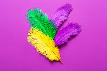 Colorful feathers on color backgroundの写真素材