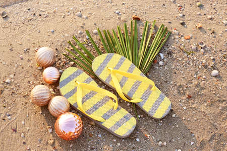 Flip-flops with balls on sea coast. Christmas vacation