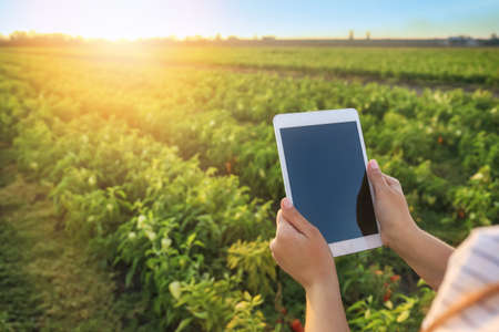 Female farmer with tablet computer working in fieldの写真素材