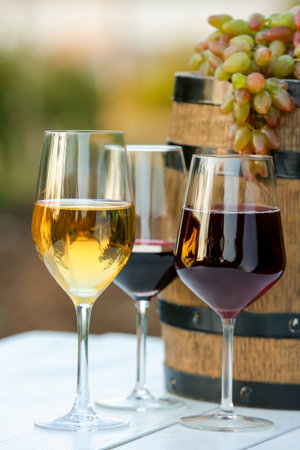 Glasses of tasty wine and barrel in vineyardの写真素材