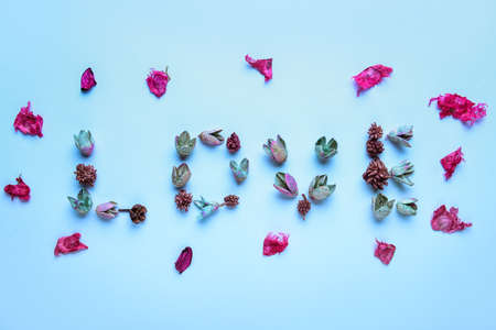 Word LOVE made of floral decor on color backgroundの写真素材