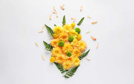 Beautiful composition with flowers on white background