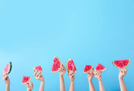 Female hands with slices of ripe watermelon on color background
