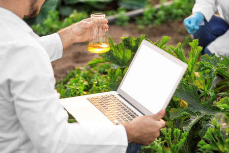 Male agricultural engineer working in field