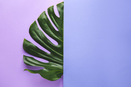 Fresh tropical leaf and blank paper on color backgroundの写真素材