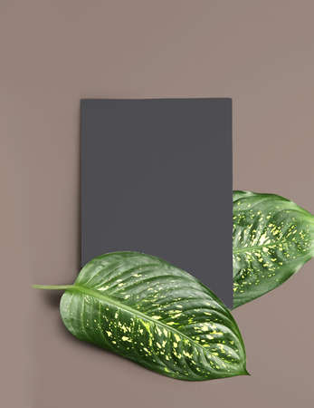 Fresh tropical leaves and blank card on gray background