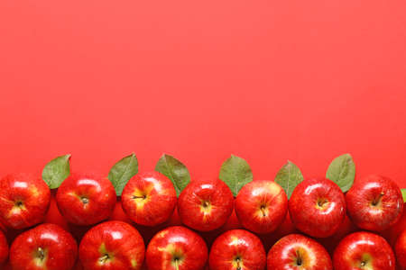 Fresh ripe apples on color background