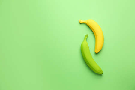 Ripe painted bananas on color backgroundの写真素材
