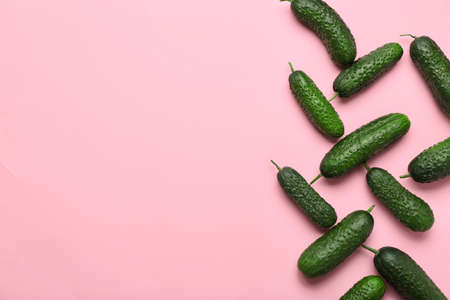 Fresh green cucumbers on color backgroundの写真素材